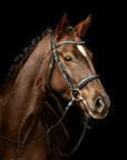 Trense Kieffer Ultrasoft® Sue in Schwarz mit Kristallstirnband am Pferd