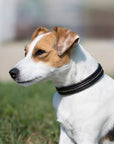Dog Collar Kieffer Ultrasoft®, with crystals