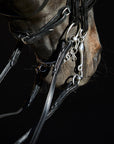 Detailfoto des anatomisch geformtem Lack-Reithalfters der Kandare Kieffer Ultrasoft® Amy am Pferd