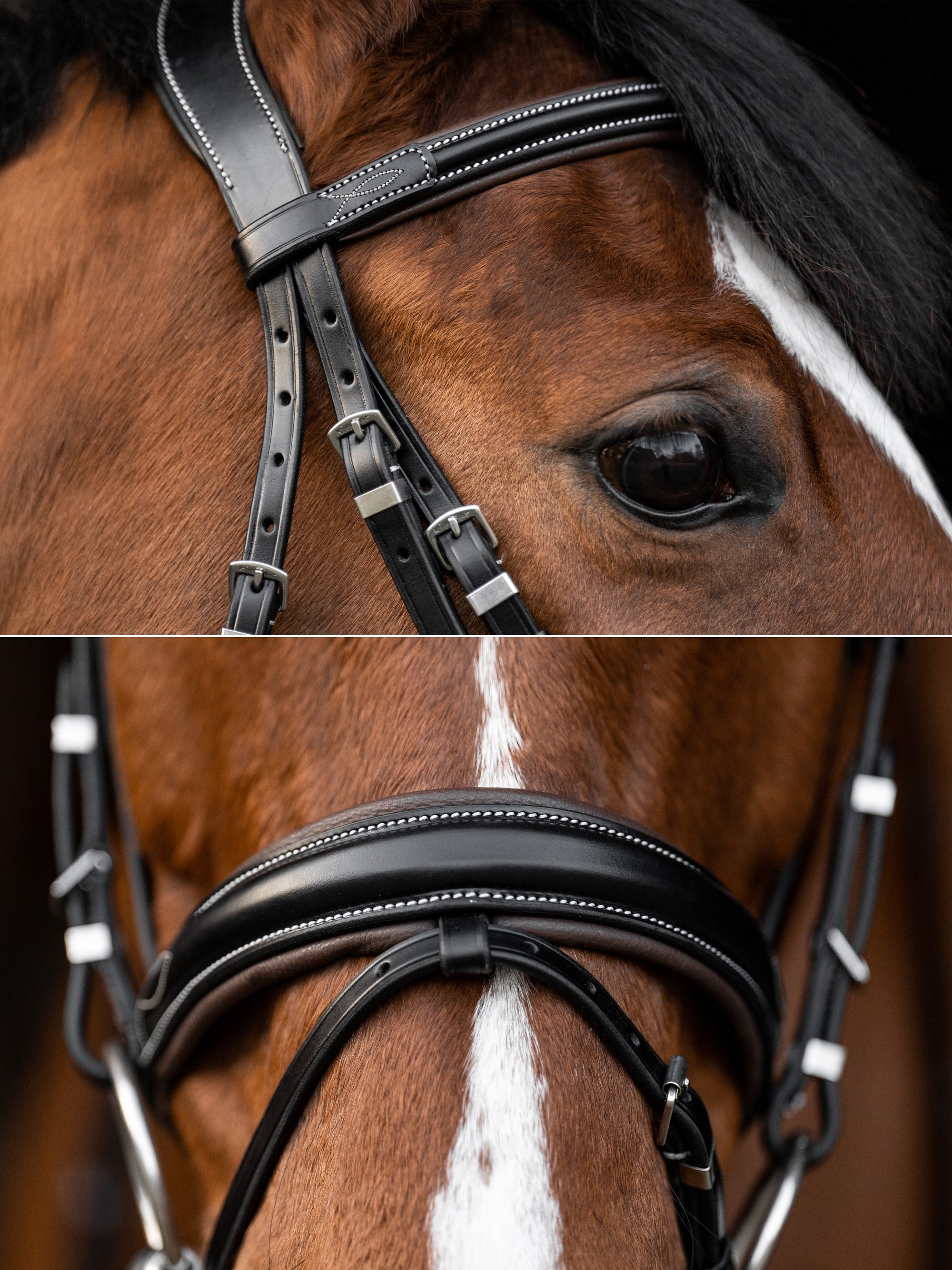 Detailfotos von Genickstück und Reithalfter der Trense Vera