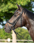 Trense Kieffer Ultrasoft® Celia in Schwarz mit Chrombeschlägen am Pferd
