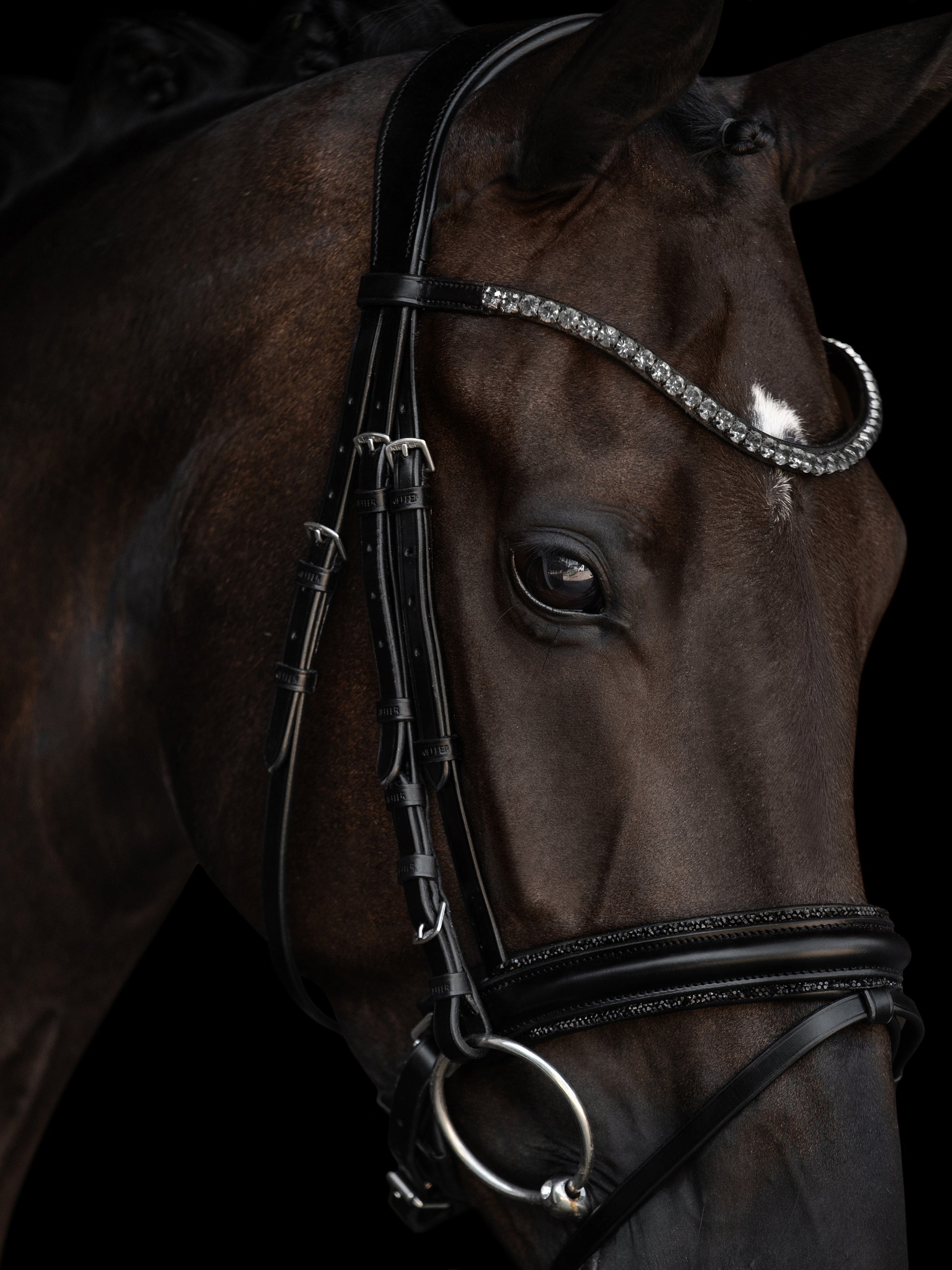 Detailfoto Trense Grace in Schwarz mit Chrombeschlägen am Pferd: anatomisches Genickstück, geschwungenes Stirnband mit grauen Kristallen und Reithalfter mit Kristallbiese
