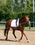 Longiergurt Equishape Pro in Schwarz mit Chrombeschlägen am Pferd