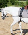 Longiergurt FlexiFit SECU Pro am Pferd