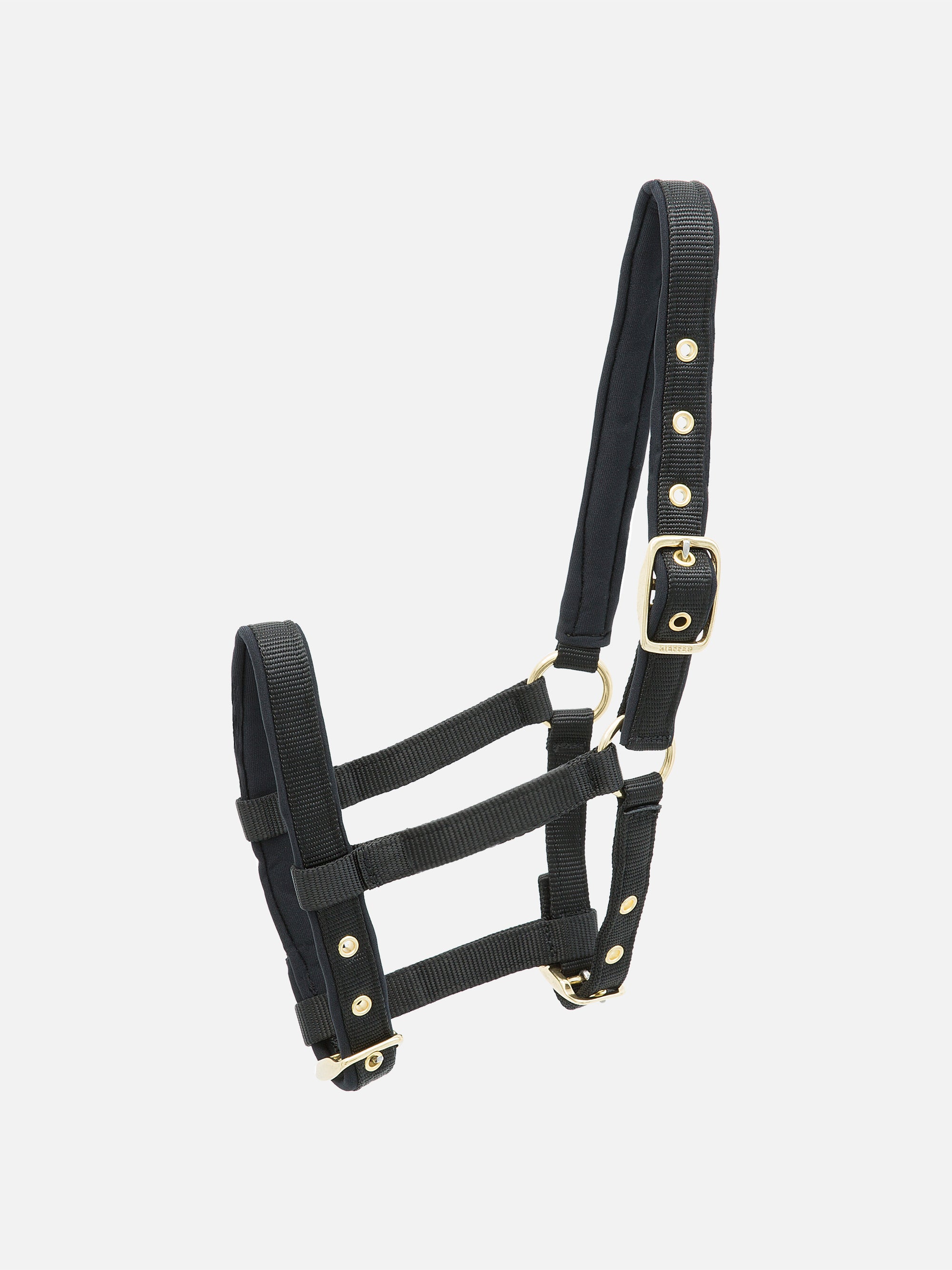Nylon-Stallhalfter Collection extra für Fohlen in Schwarz mit messingfarbenen Beschlägen