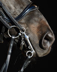 Detailfoto des anatomisch geformtem Lack-Reithalfters der Kandare Kieffer Ultrasoft® Amy am Pferd
