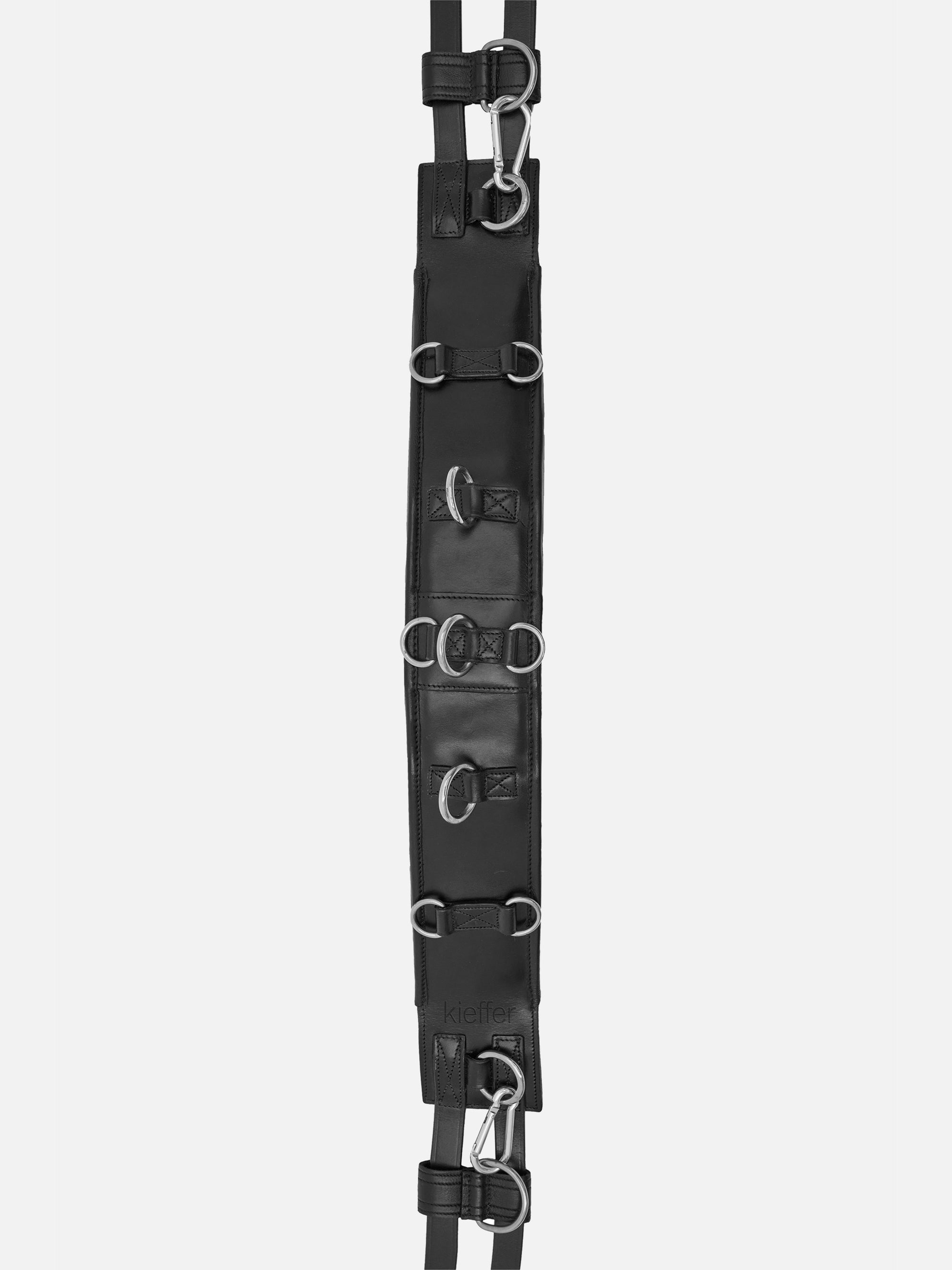 Detailfoto Longiergurt Equishape Pro in Schwarz mit Chrombeschlägen
