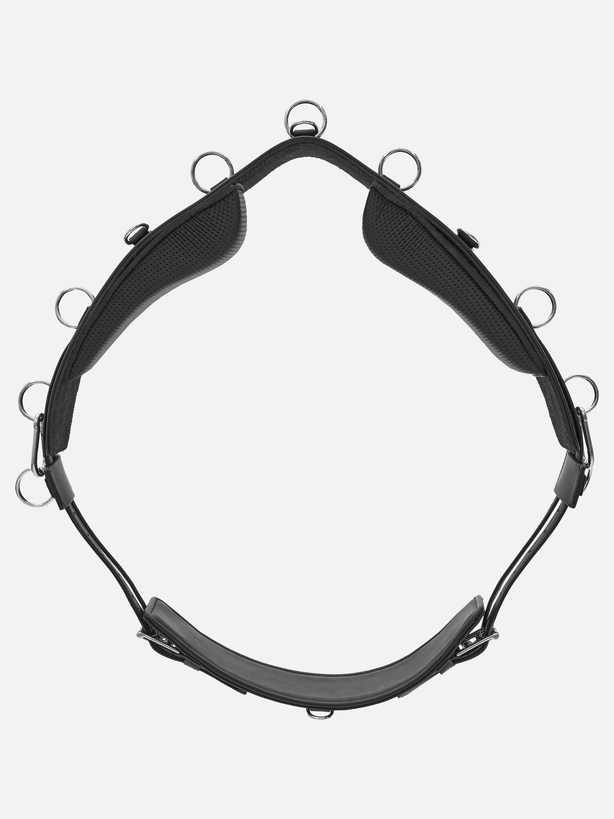 Longiergurt FlexiFit SECU Pro mit Kopfeisen und großen Klettpolstern aus antiallergenem Secu-Material in Schwarz mit Chrombeschlägen